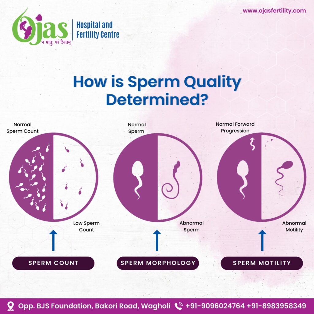 Sperm quality is assessed through a comprehensive evaluation known as a semen analysis.