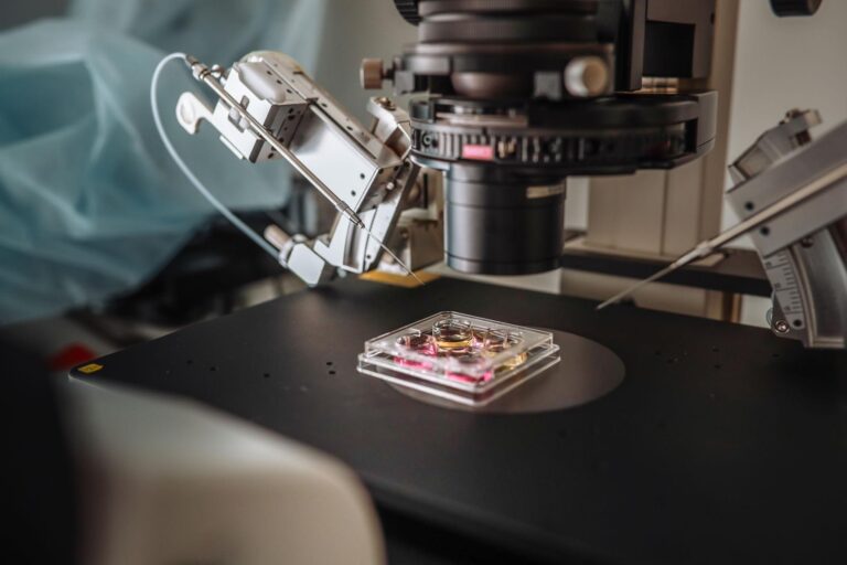 IVF Treatment Explained: Step-by-Step Guide for Couples